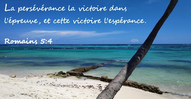 Bienvenue sur mon nouveau blog !